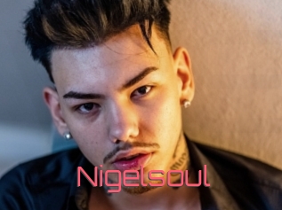 Nigelsoul