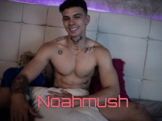 noahmush Webcam Sexe Direct