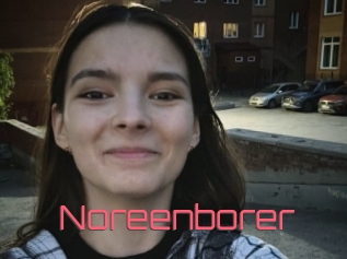 Noreenborer