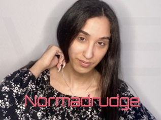 Normadrudge