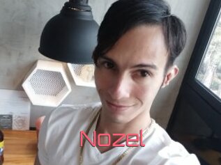 Nozel