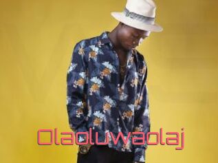 Olaoluwaolaj