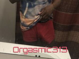 Orgasmic313