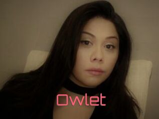 _Owlet_