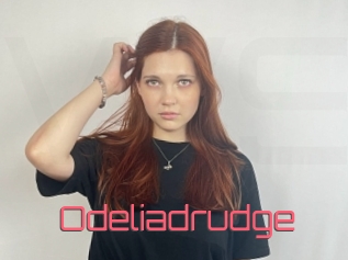 Odeliadrudge