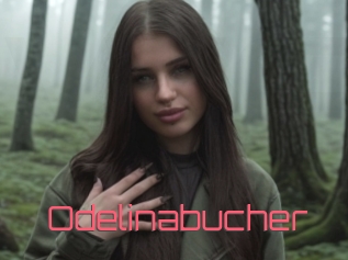 Odelinabucher