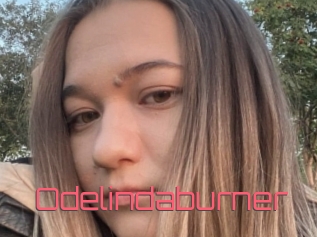 Odelindaburner