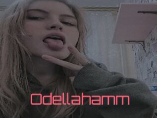 Odellahamm