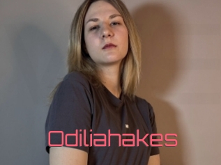 Odiliahakes