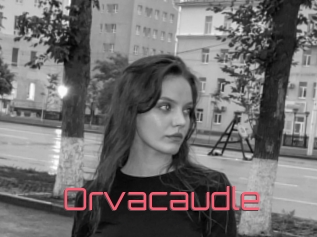 Orvacaudle