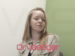 Orvaedger