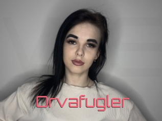 Orvafugler