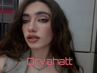 Orvahatt