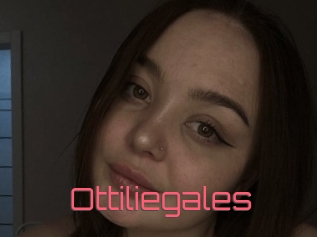 Ottiliegales