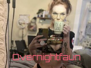 Overnightfaun