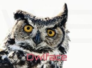Owlface