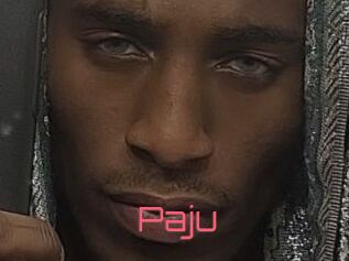 Paju