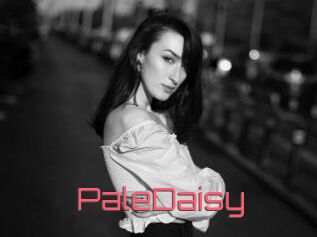 PaleDaisy