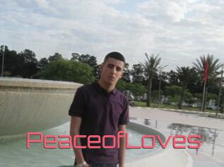 PeaceofLoves