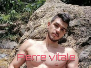 Pierre_vitale