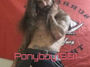 Ponyboy1981