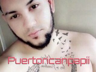 Puertoricanpapii