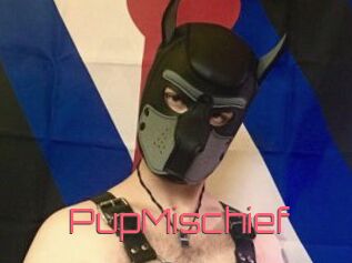 PupMischief