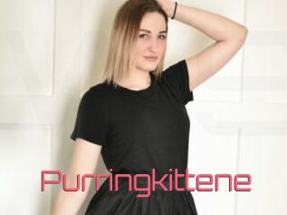 Purringkittene