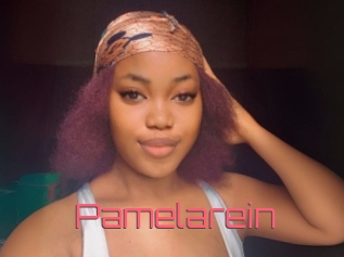 Pamelarein