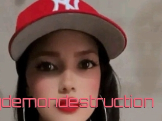 Partydemondestruction