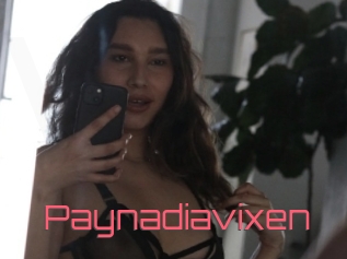 Paynadiavixen