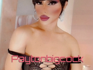 Paytonbigcock