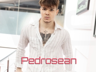 pedrosean Webcam Sexe Direct