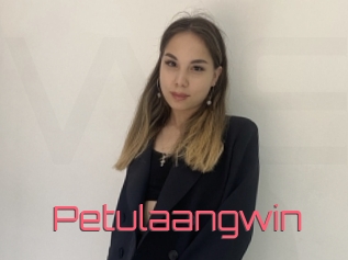 Petulaangwin