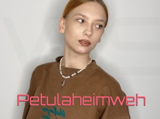Petulaheimweh