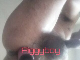 Piggyboy