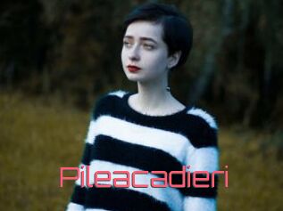 Pileacadieri