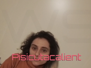 Pisicutacalient