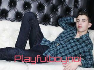 Playfulboynoi