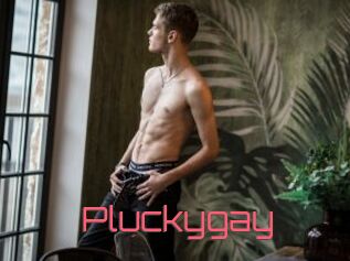 Pluckygay