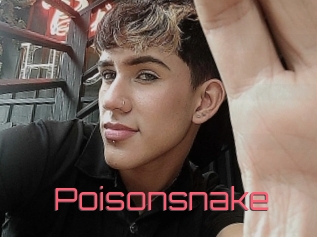 Poisonsnake