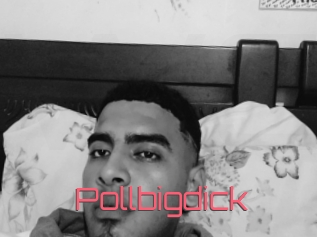 Pollbigdick