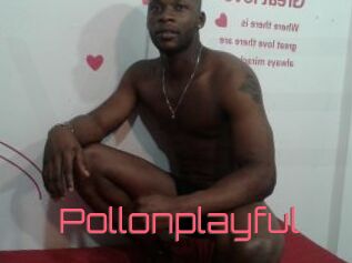 Pollonplayful