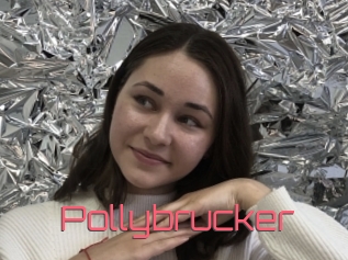 Pollybrucker