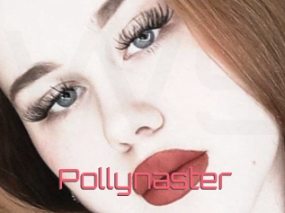 Pollynaster
