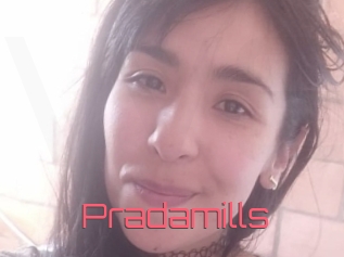Pradamills
