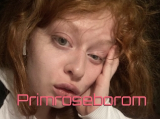 Primroseborom
