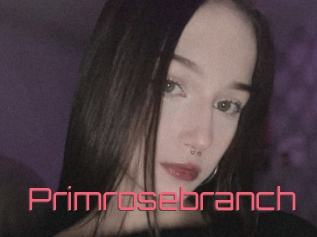 Primrosebranch