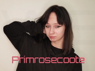 Primrosecoote