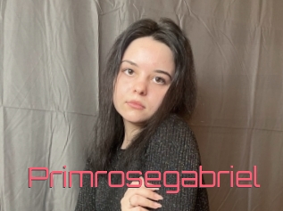 Primrosegabriel